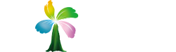 海口王进超科技有限公司